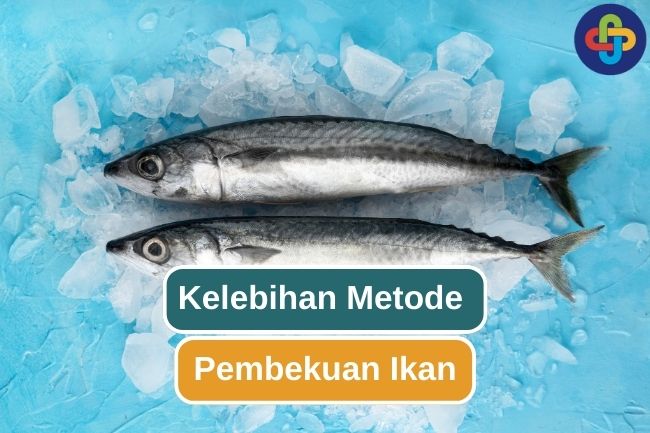 5 Alasan Pembekuan Ikan Adalah Pengawetan Yang Tepat